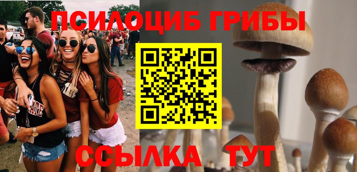 Галлюциногенные грибы Cubensis Звенигород