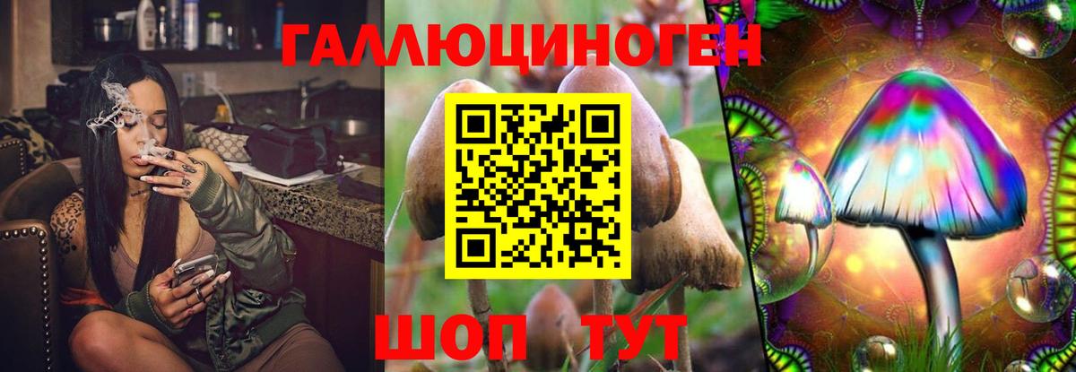 Звенигород  Псилоцибиновые грибы Magic Shrooms  Вход с VPN 